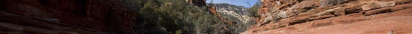 Red rock mountains rising up behind pine trees.