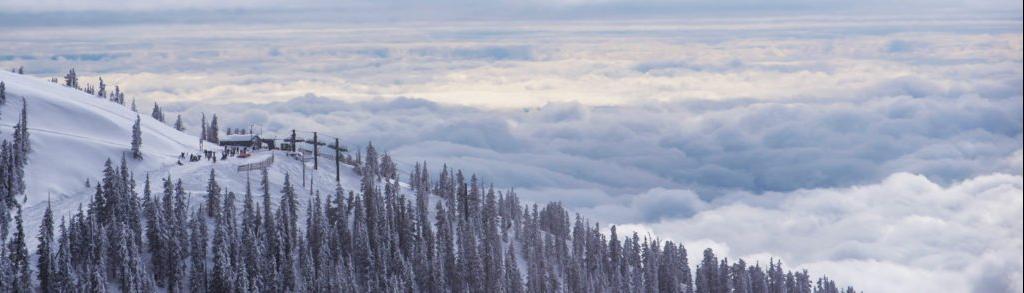 Snow-covered mountain top with pine trees, set against a background of white clouds.