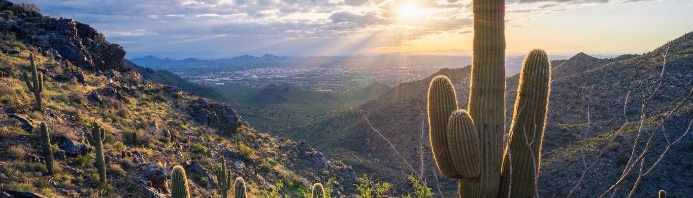 Mohave County desert 