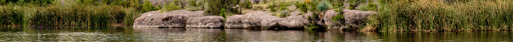 Tall grass and scattered rocks along the water’s edge.