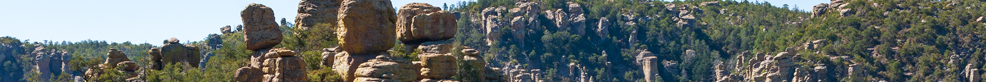 Rock spires and balanced formations at Chiricahua National Monument under a clear sky.