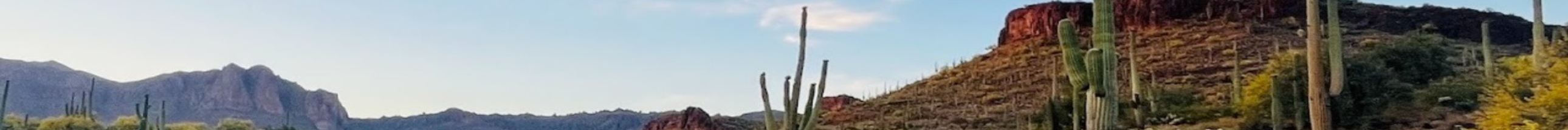 Saguaro cacti with a red rock mountain and blue sky in the background.